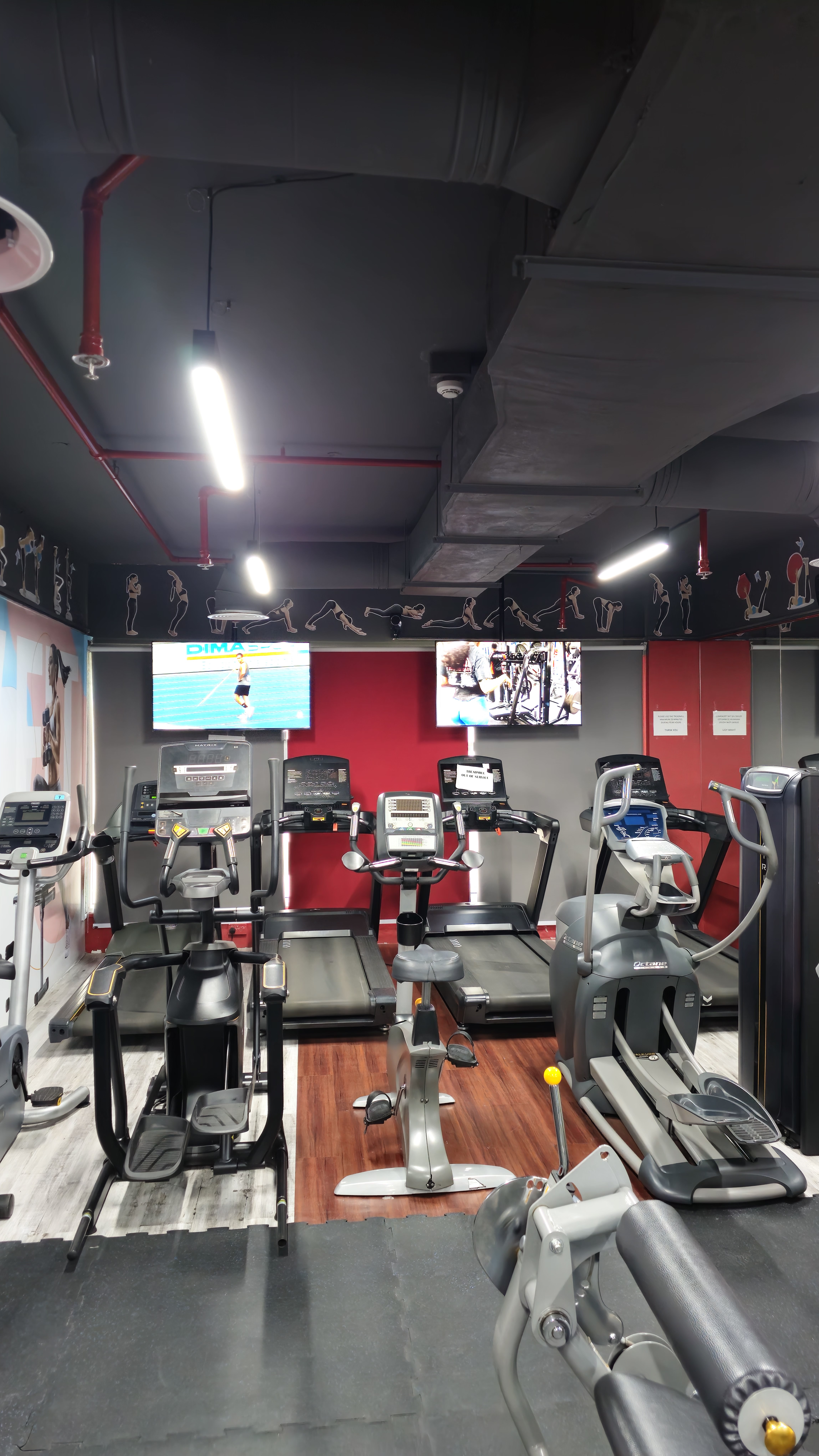 Cardio Area